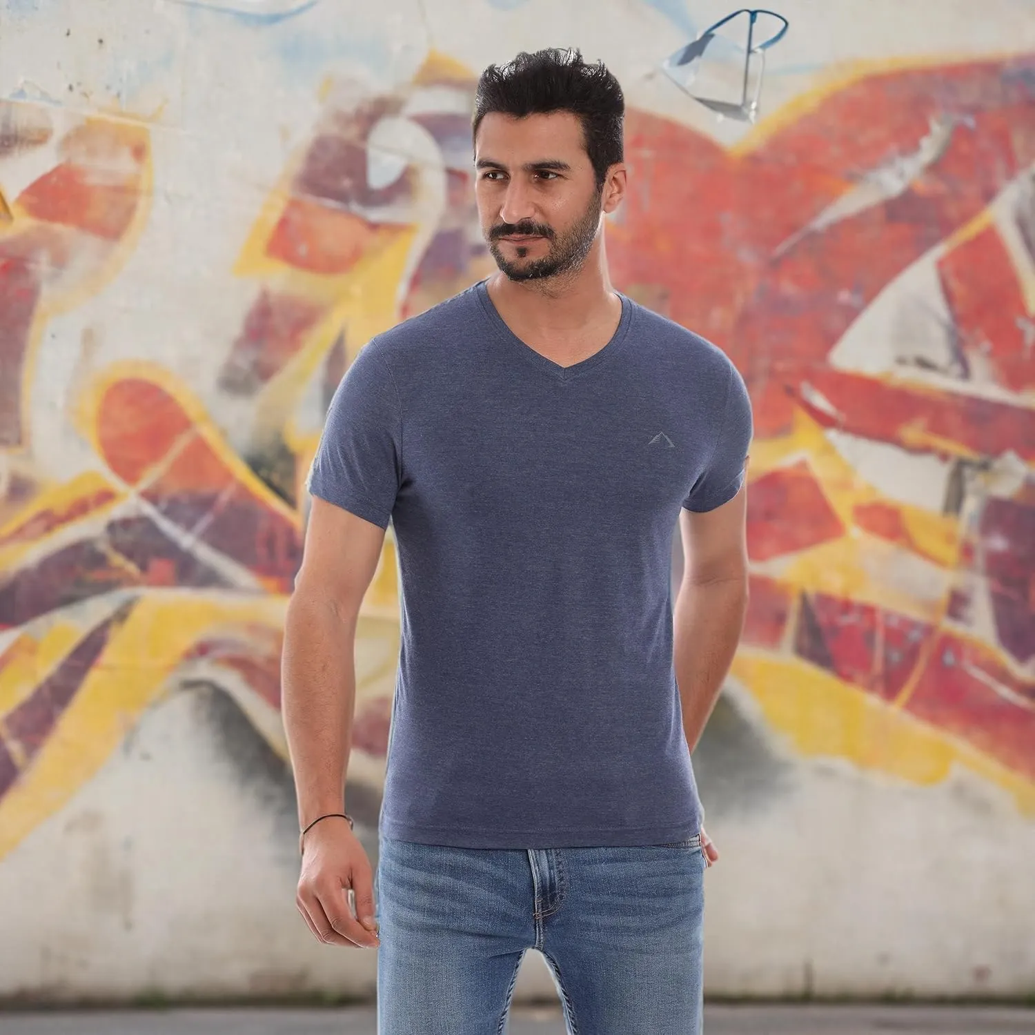 Mens V-Neck T-Shirt (Slim FIT) | 3/6 Pack, Vneck Tshirt | Cotton Rich, Ultra Soft, Breathable, Tag Free (Made in Egypt)